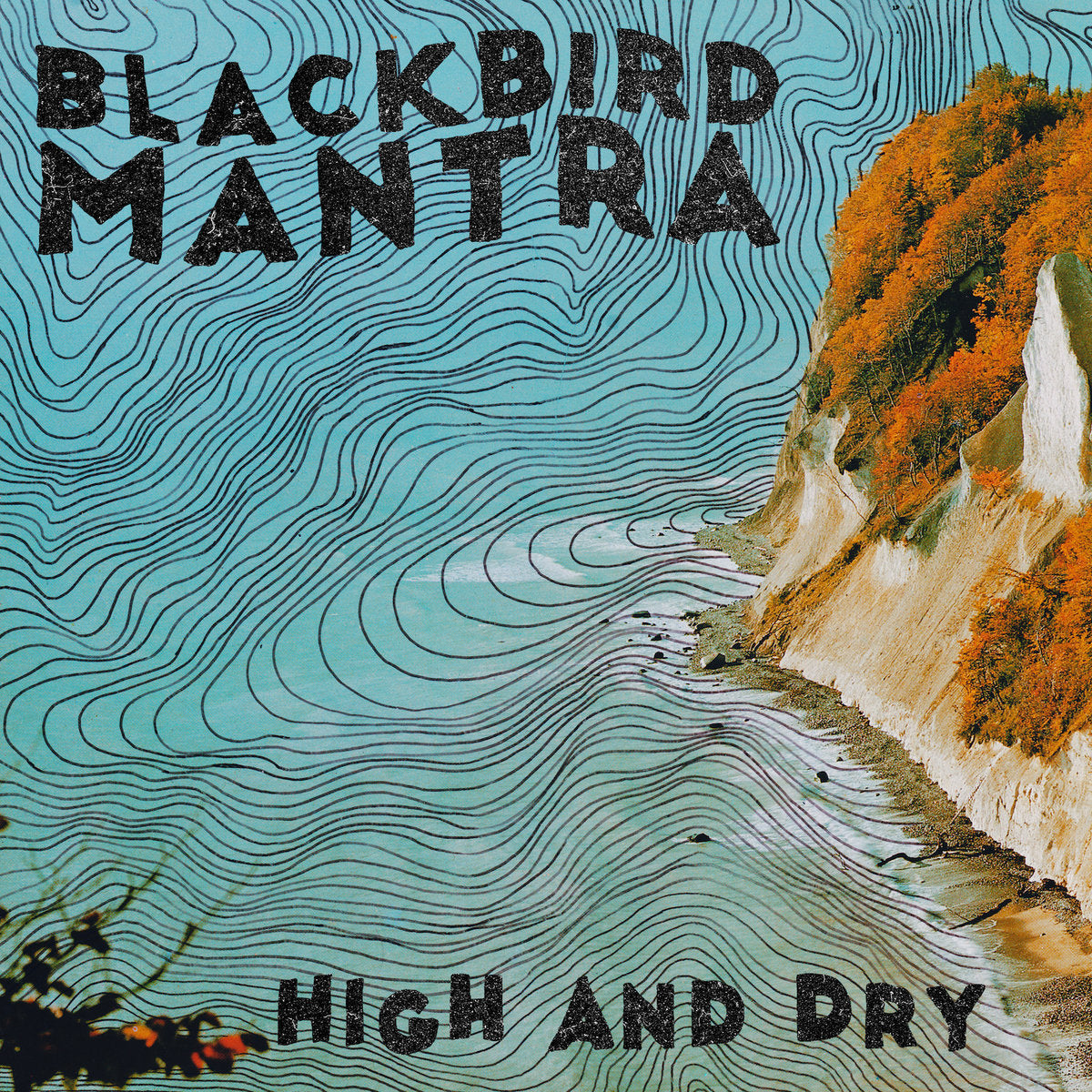 Blackbird Mantra - High and Dry