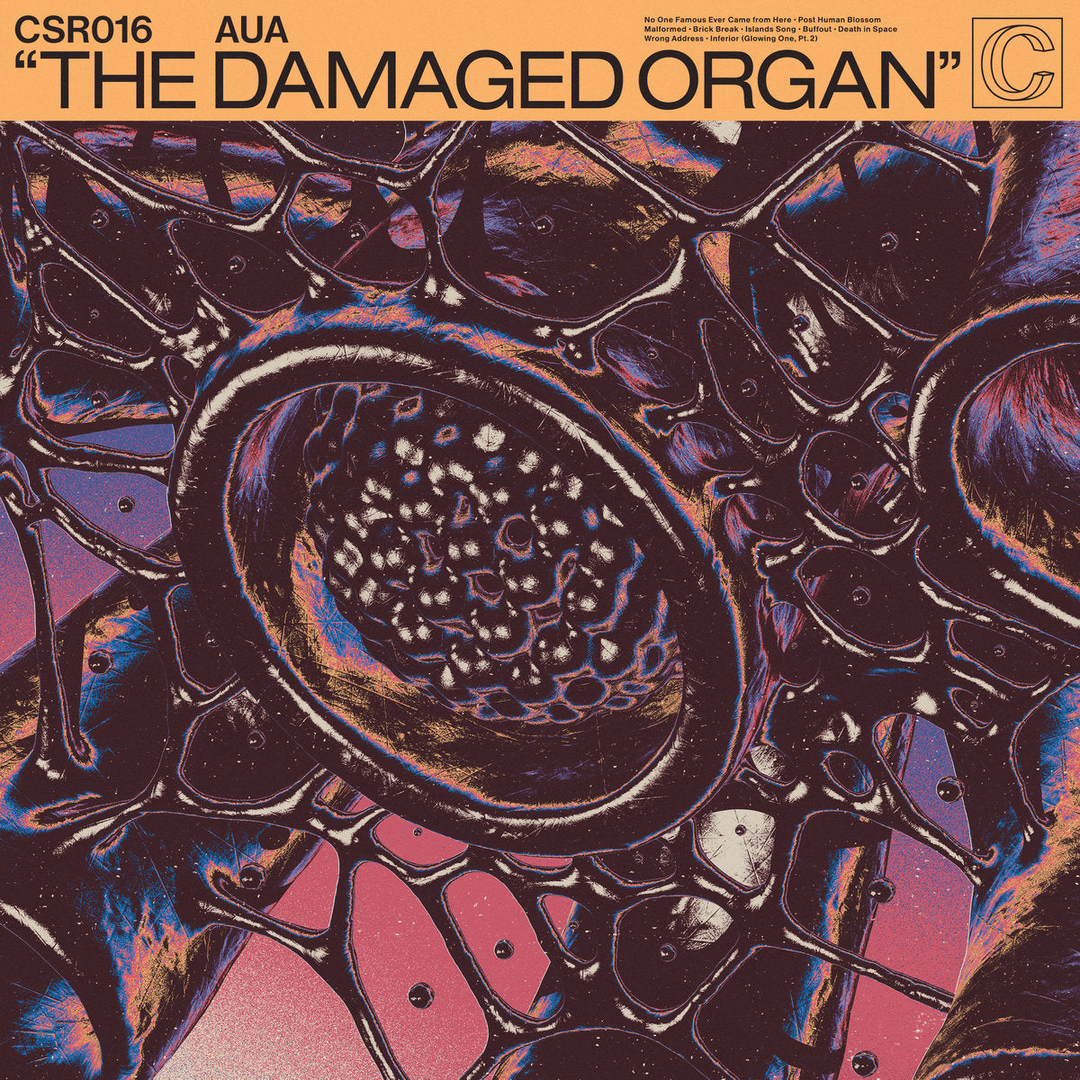 AUA - The Damaged Organ