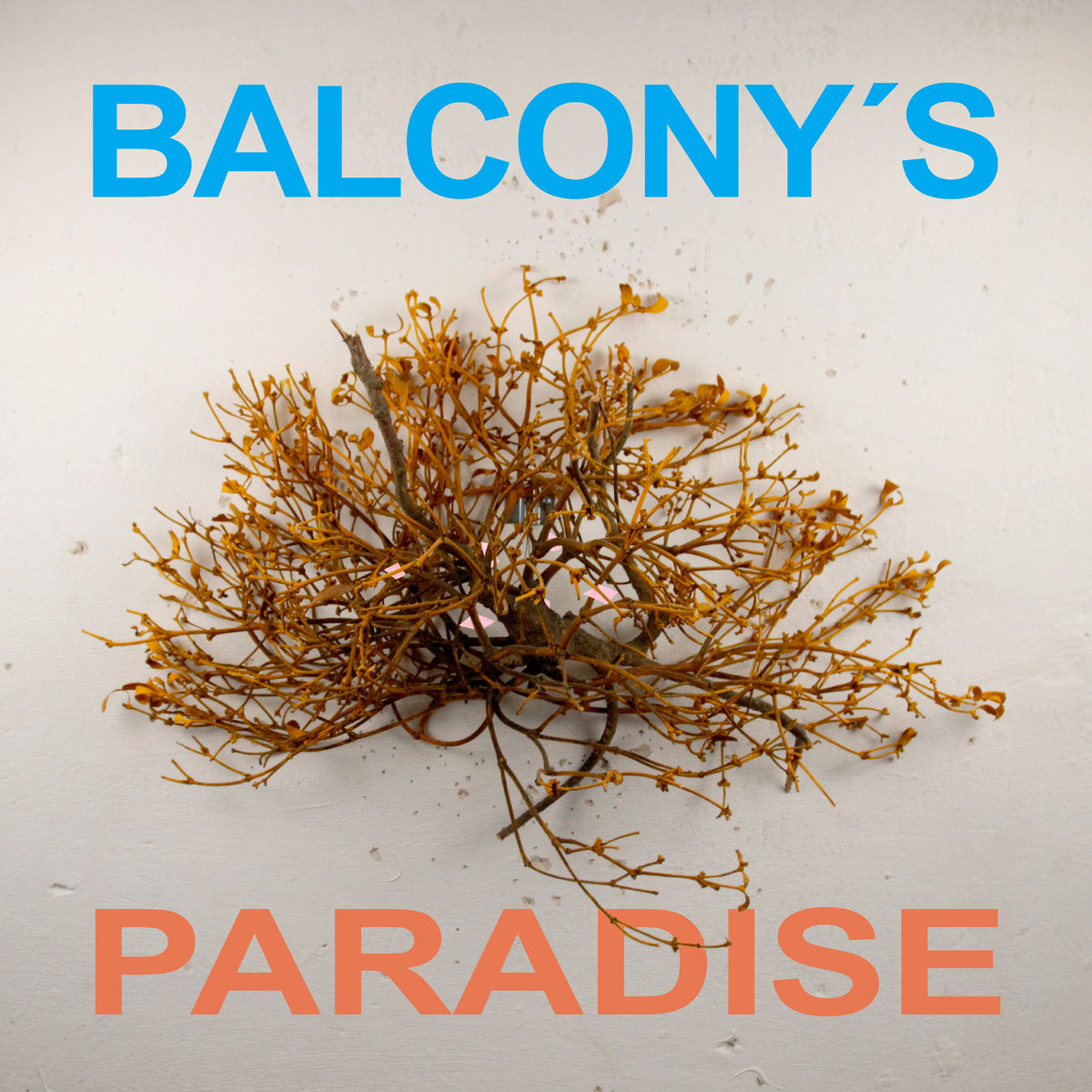 Balcony's Paradise - Balcony's Paradise